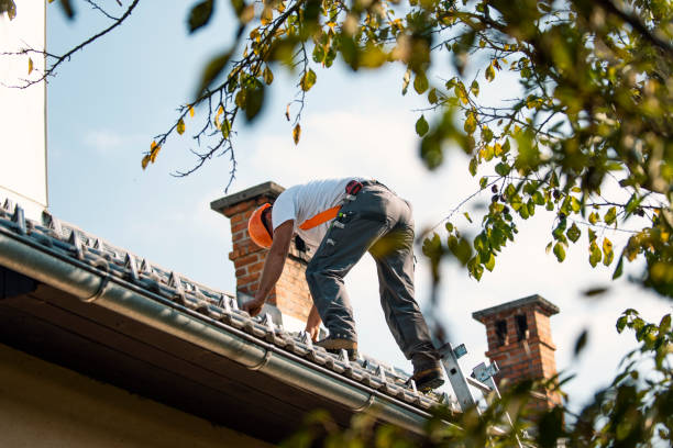 Roof Insulation in Elmhurst, IL